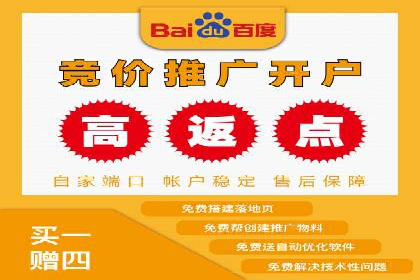 竞价排名中关键词出价策略的案例探讨
